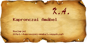 Kapronczai Amábel névjegykártya